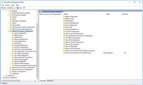 VMware View agent configuration settings